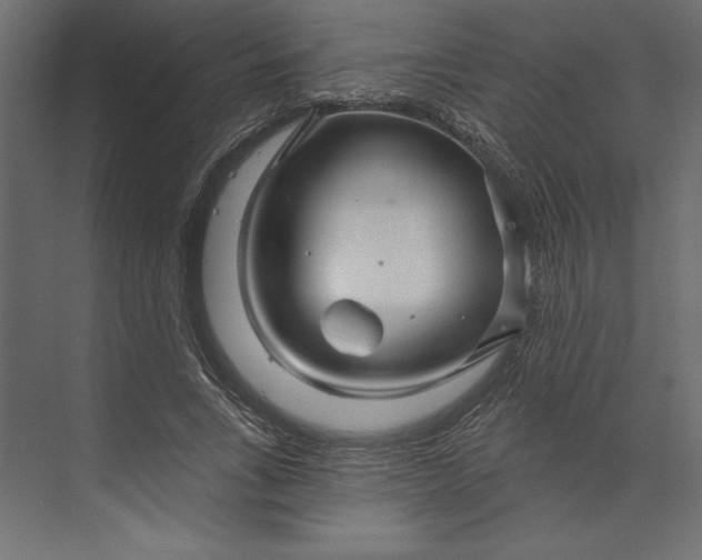 X0000073420735200608181120