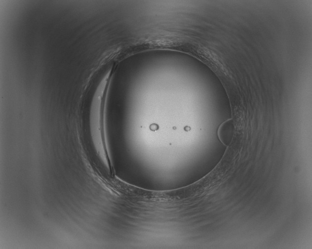 X0000073420738200608181120