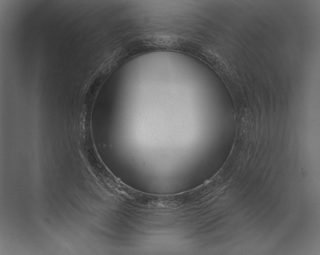 X0000073420739200608181120