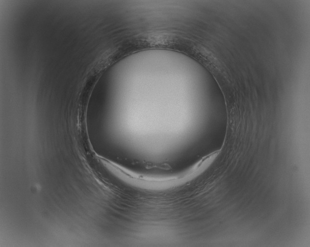 X0000073420740200608181120