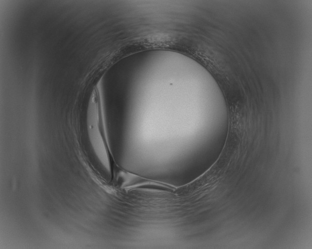 X0000073420742200608181120