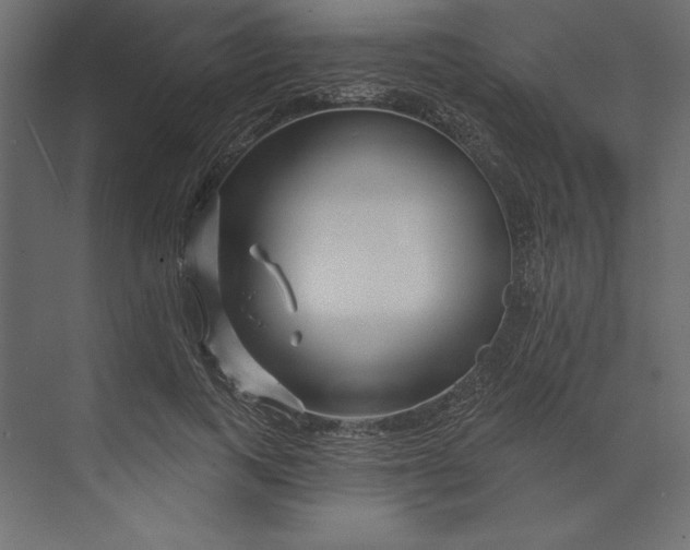 X0000073420743200608181120