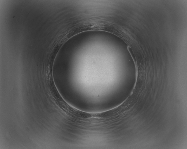 X0000073420748200608181121