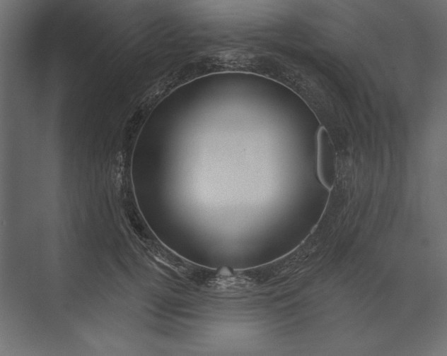 X0000073420752200608181121