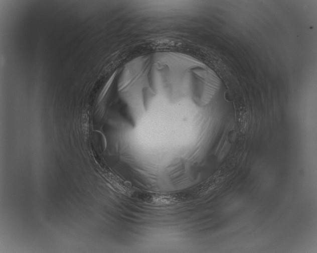 X0000073420753200608181121