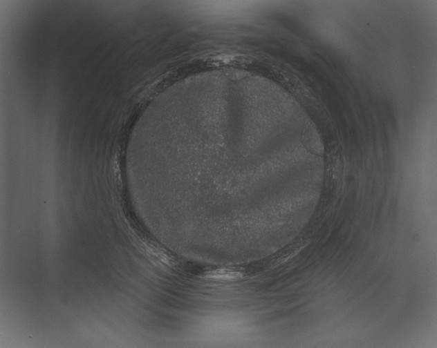 X0000073420754200608181121