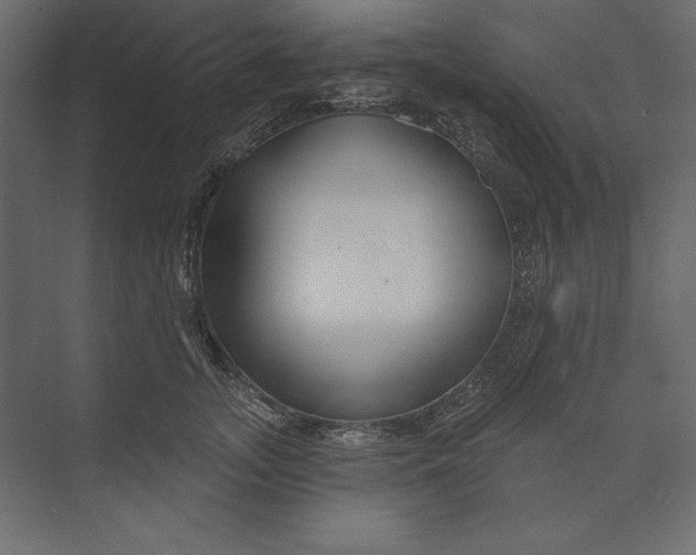 X0000073420755200608181121