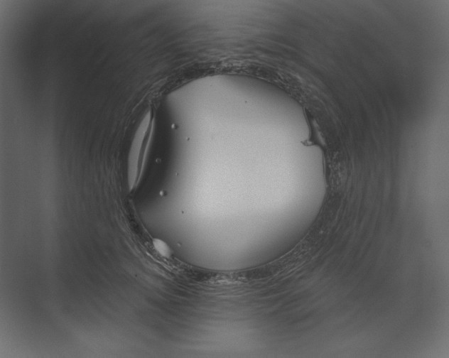 X0000073420756200608181121