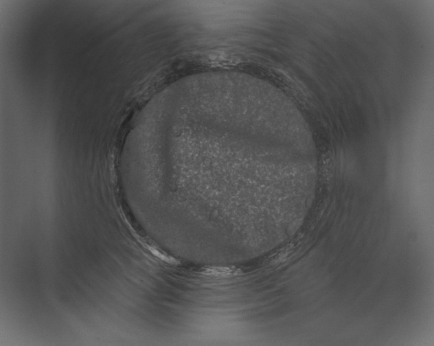 X0000073420757200608181121