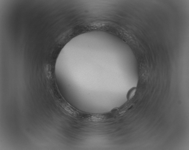 X0000073420758200608181121