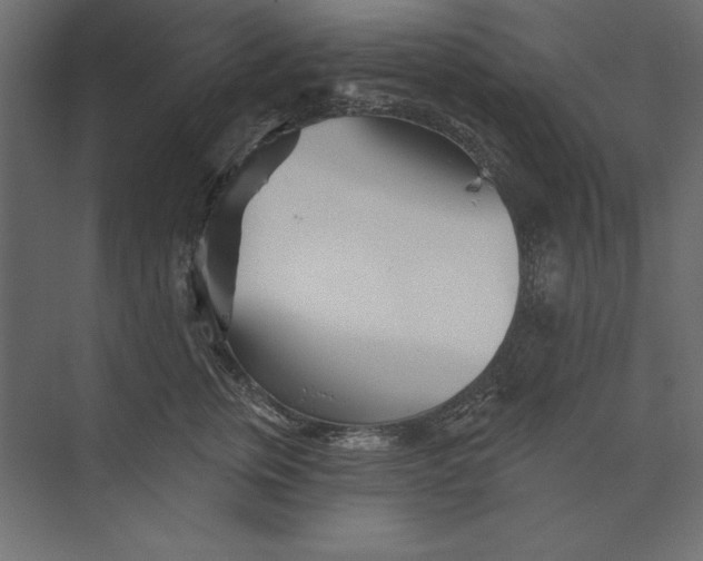 X0000073420759200608181121