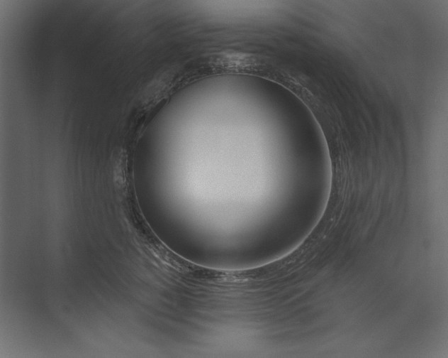 X0000073420760200608181121