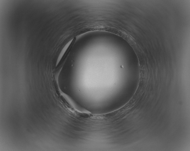 X0000073420762200608181121