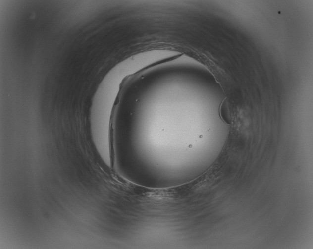 X0000073420763200608181121