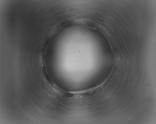 X0000073420764200608181121