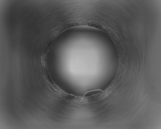 X0000073420768200608181121