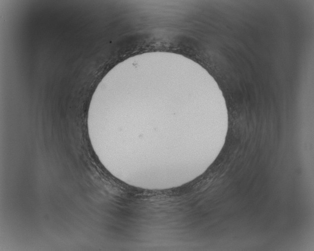 X0000073420769200608181120