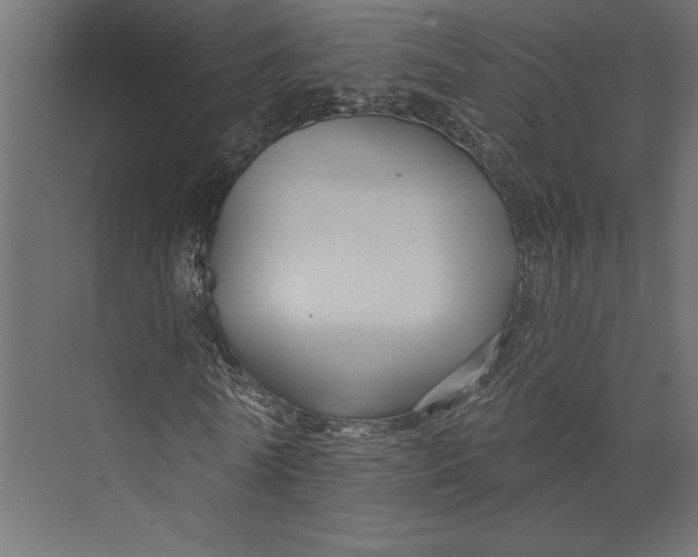 X0000073420770200608181120