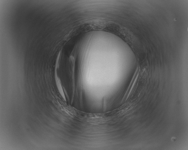 X0000073420772200608181120