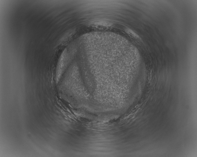 X0000073420774200608181120