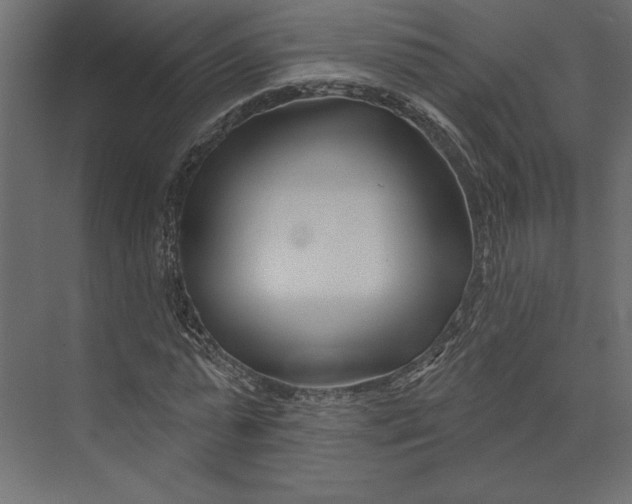 X0000073420775200608181120