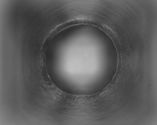 X0000073420776200608181120