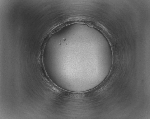 X0000073420778200608181120