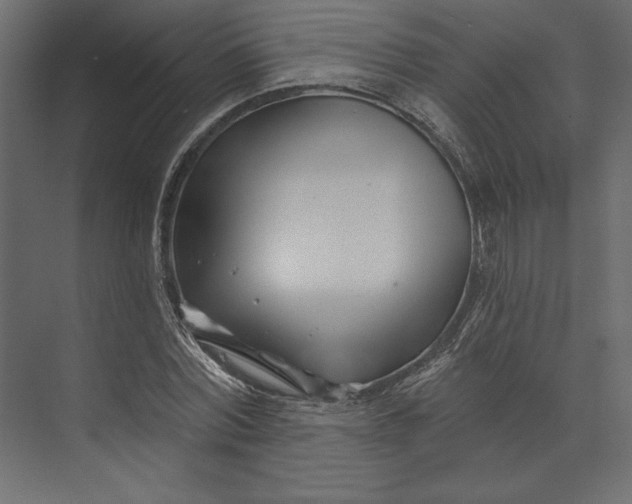 X0000073420780200608181120