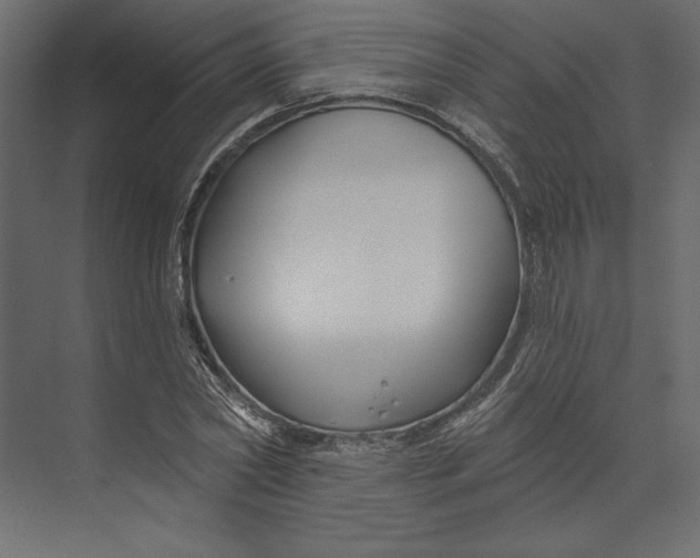 X0000073420782200608181120