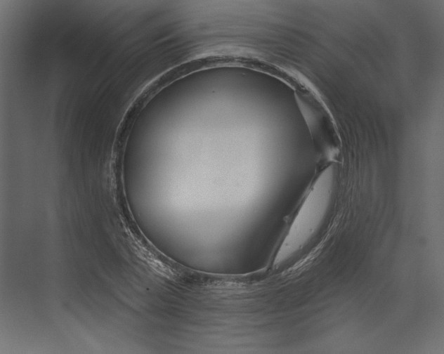 X0000073420783200608181120