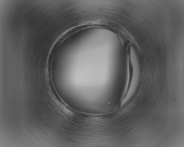 X0000073420784200608181120