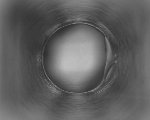 X0000073420785200608181120