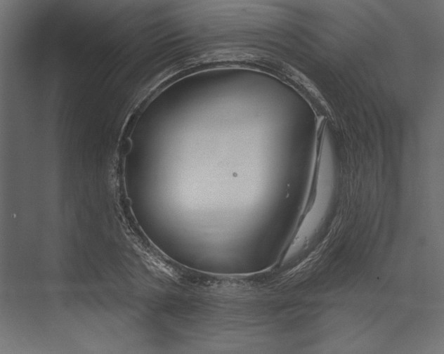 X0000073420786200608181120