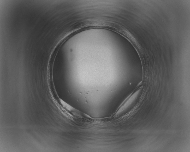 X0000073420787200608181120