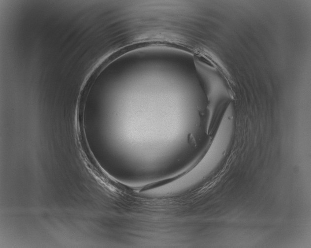 X0000073420788200608181120