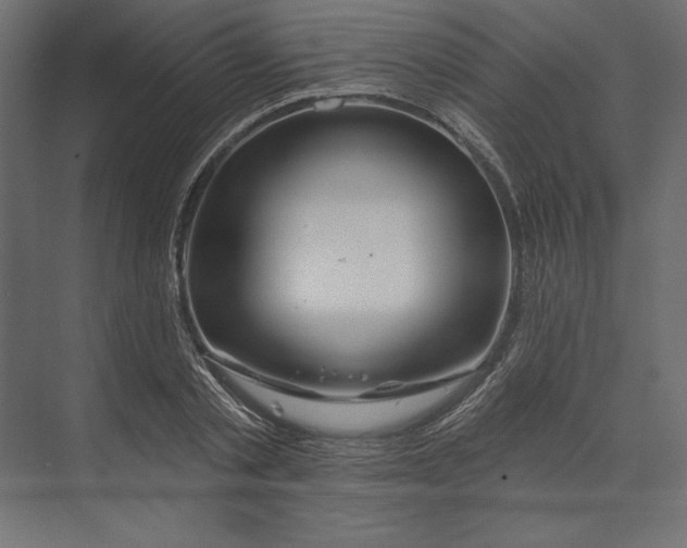 X0000073420789200608181120