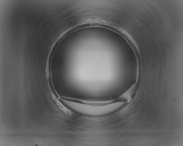 X0000073420791200608181120