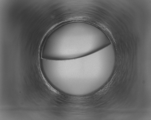 X0000073420792200608181120