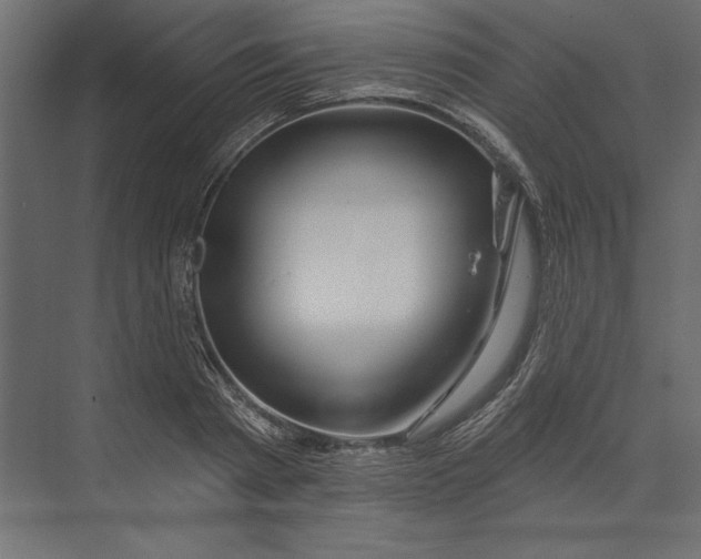 X0000073420793200608181120