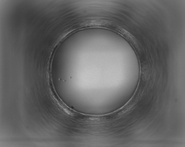 X0000073420794200608181120