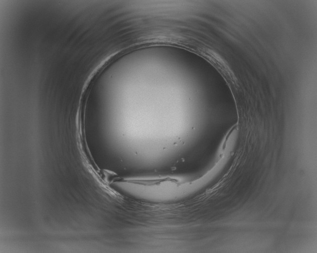 X0000073420796200608181120