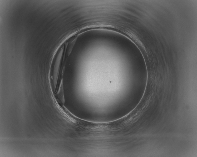 X0000073420797200608181120