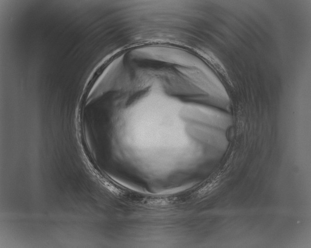 X0000073420798200608181120