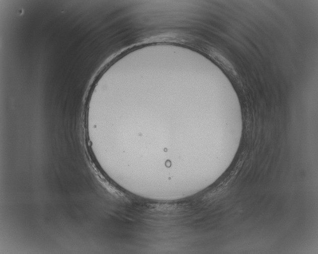 X0000073420800200608181120