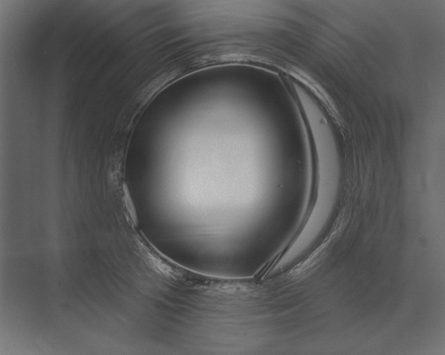 X0000073420801200608181120