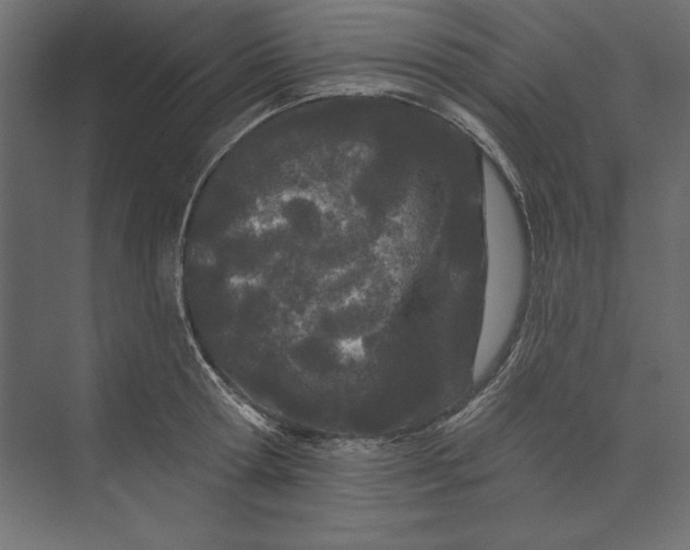 X0000073420802200608181119