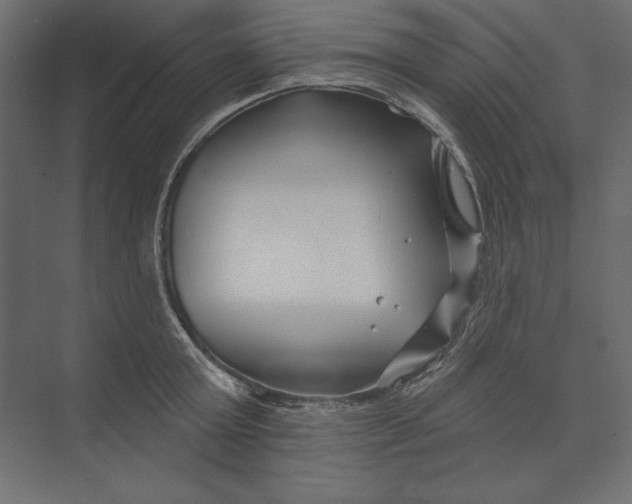 X0000073420803200608181119