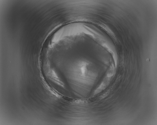 X0000073420806200608181119