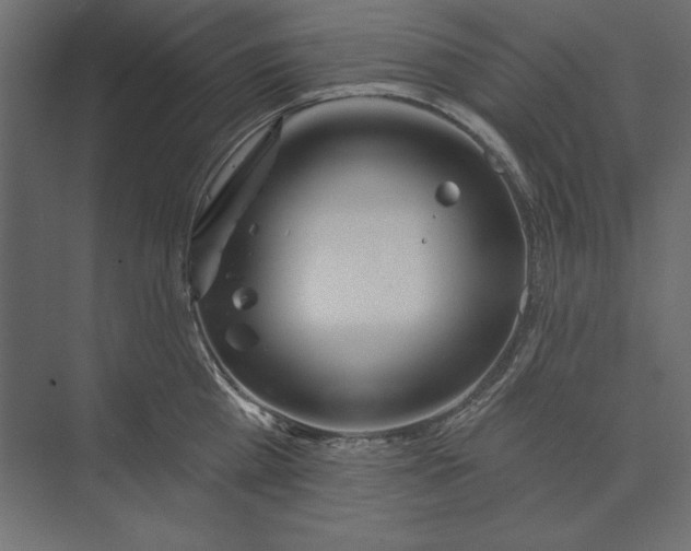 X0000073420809200608181119