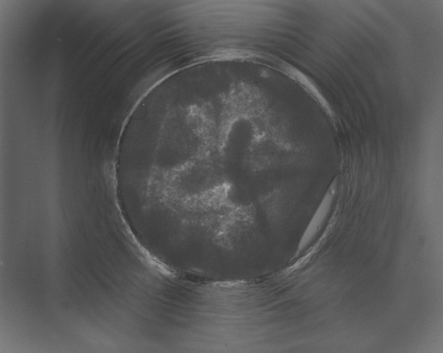 X0000073420810200608181119